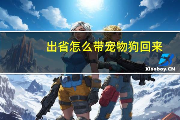 出省怎么带宠物狗回来
