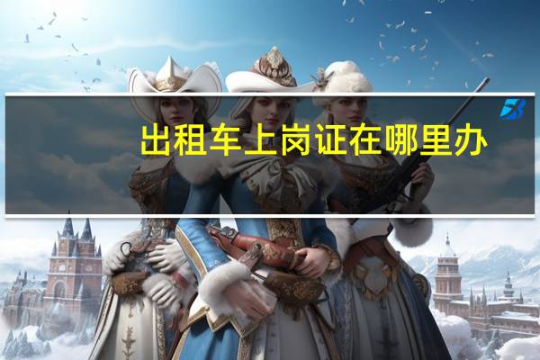 出租车上岗证在哪里办