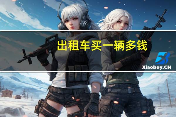 出租车买一辆多钱