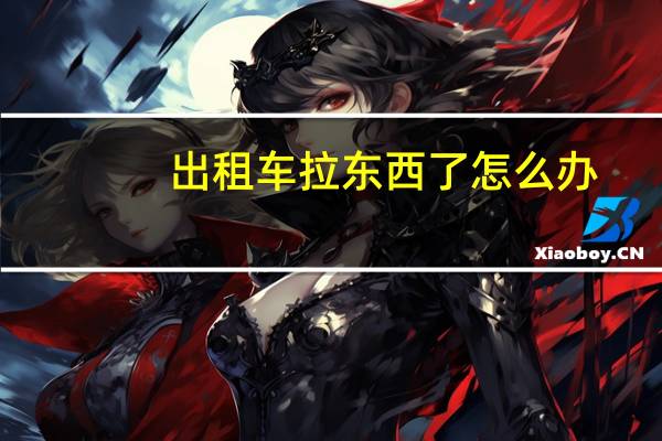 出租车拉东西了怎么办