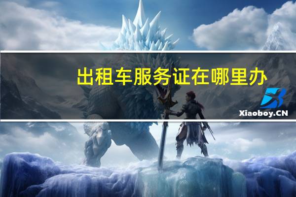 出租车服务证在哪里办