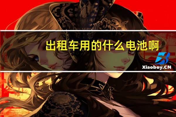 出租车用的什么电池啊