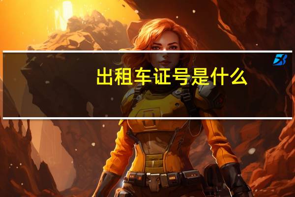 出租车证号是什么