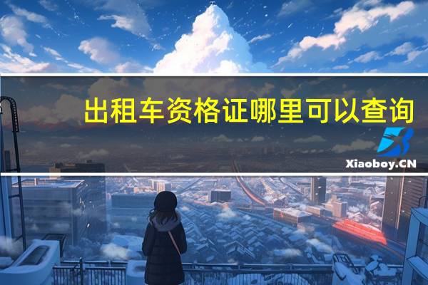 出租车资格证哪里可以查询