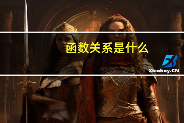函数关系是什么