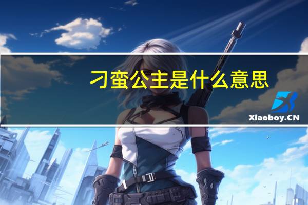 刁蛮公主是什么意思