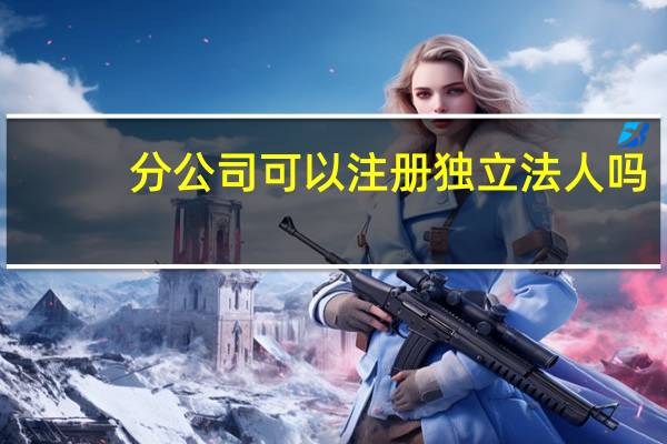 分公司可以注册独立法人吗