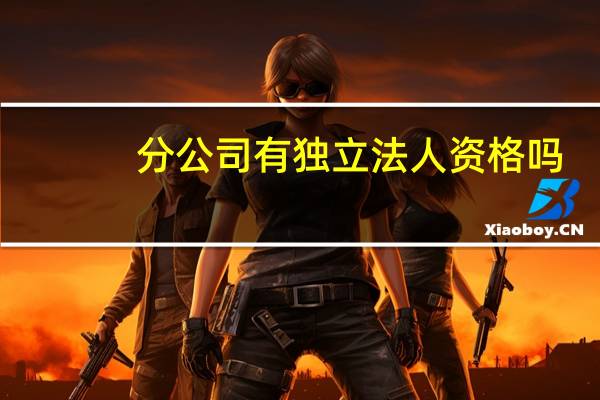 分公司有独立法人资格吗