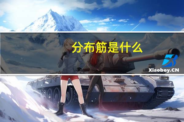 分布筋是什么