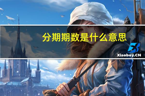 分期期数是什么意思