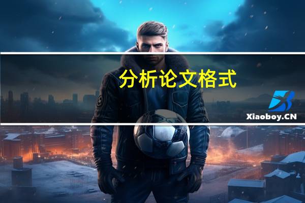 分析论文格式