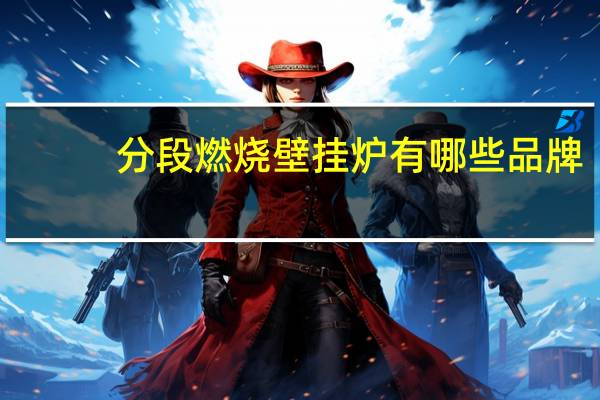 分段燃烧壁挂炉有哪些品牌