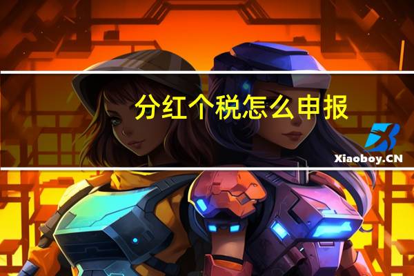 分红个税怎么申报