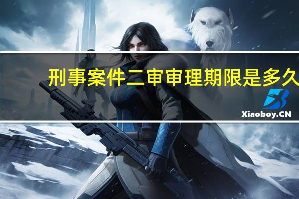 刑事案件二审审理期限是多久