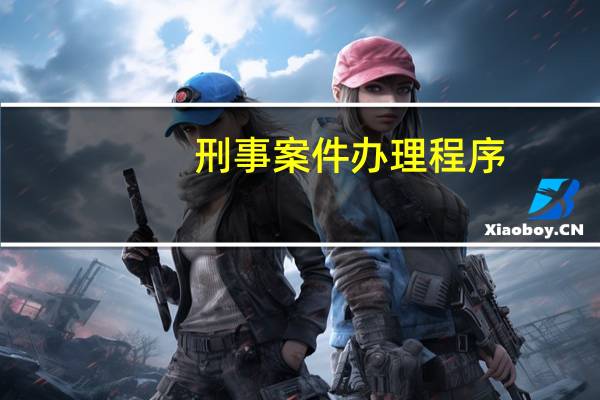 刑事案件办理程序