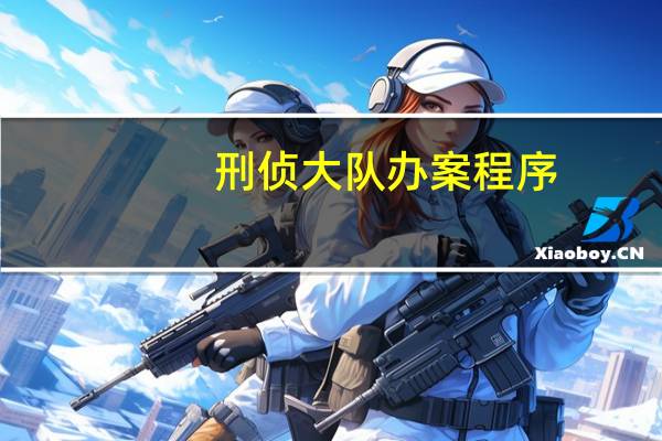 刑侦大队办案程序