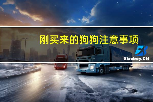 刚买来的狗狗注意事项