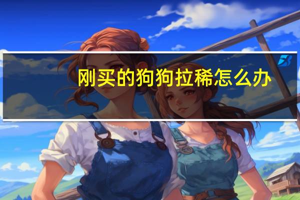 刚买的狗狗拉稀怎么办