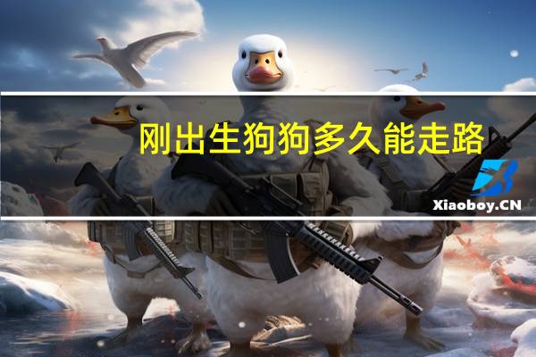 刚出生狗狗多久能走路