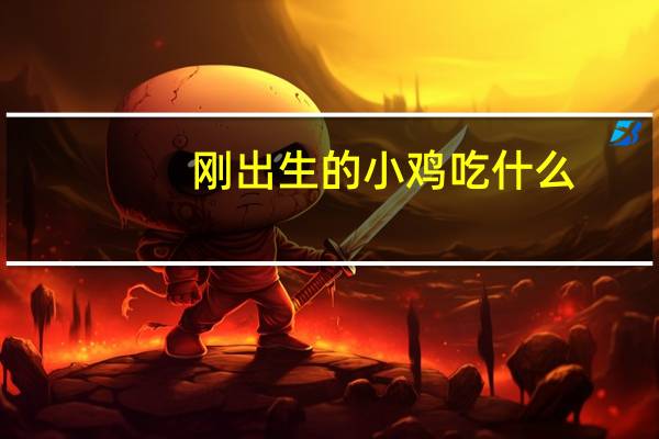 刚出生的小鸡吃什么