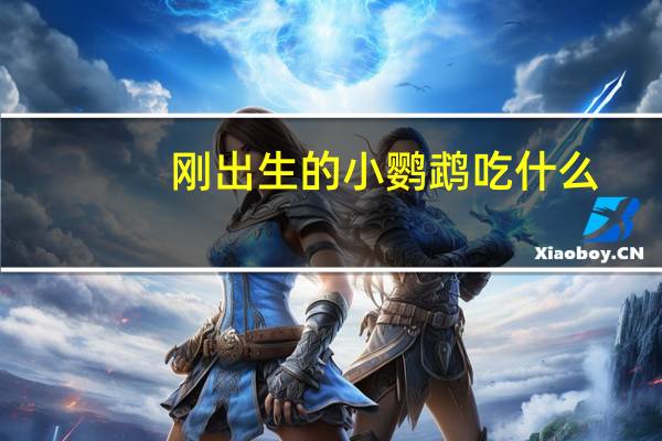 刚出生的小鹦鹉吃什么