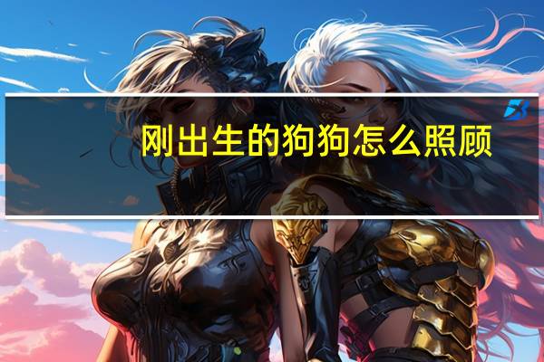 刚出生的狗狗怎么照顾