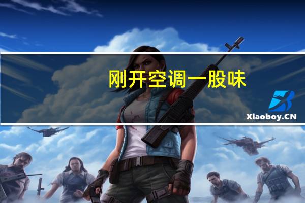 刚开空调一股味