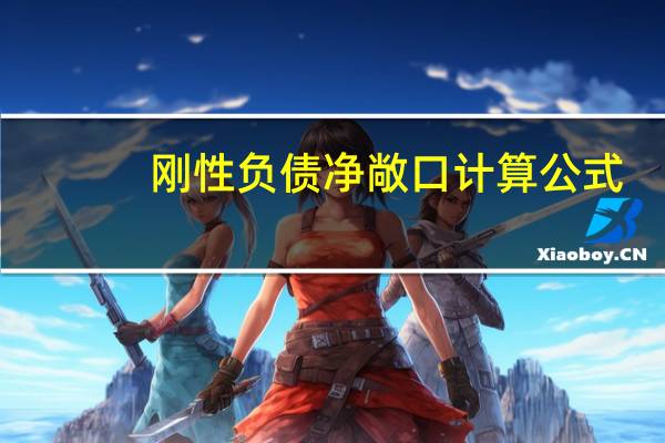 刚性负债净敞口计算公式