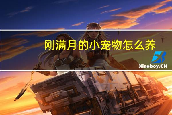 刚满月的小宠物怎么养