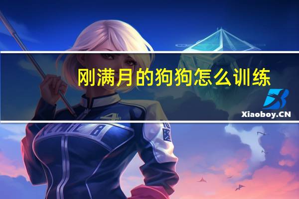 刚满月的狗狗怎么训练