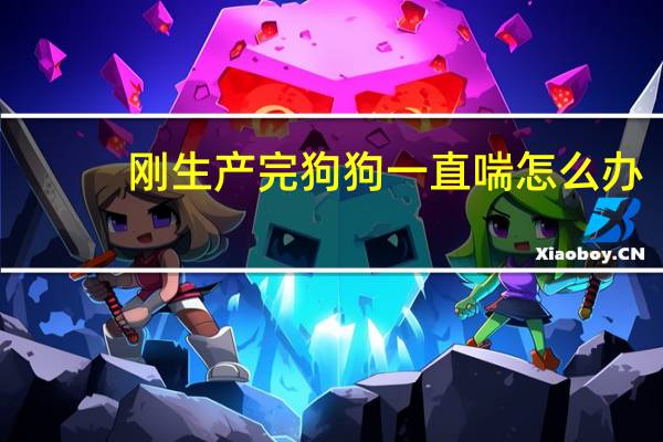 刚生产完狗狗一直喘怎么办