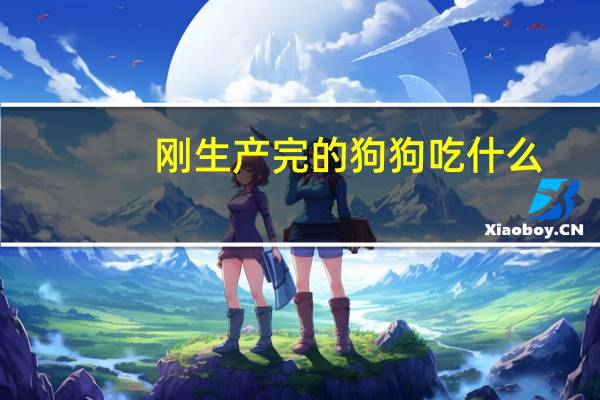 刚生产完的狗狗吃什么