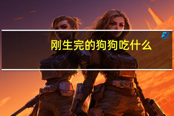 刚生完的狗狗吃什么