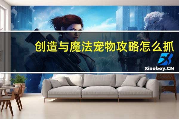 创造与魔法宠物攻略怎么抓