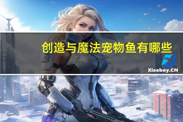 创造与魔法宠物鱼有哪些