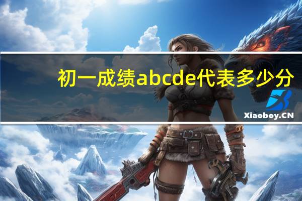初一成绩abcde代表多少分