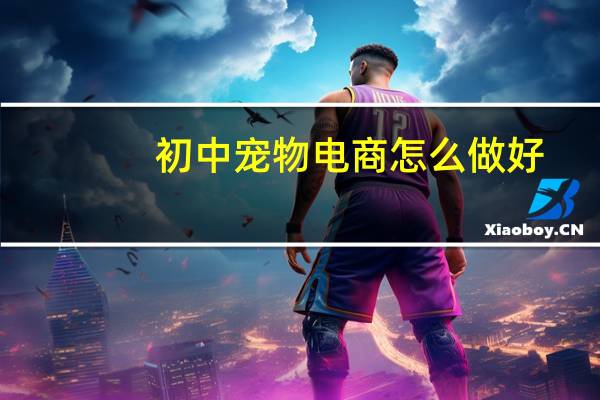 初中宠物电商怎么做好