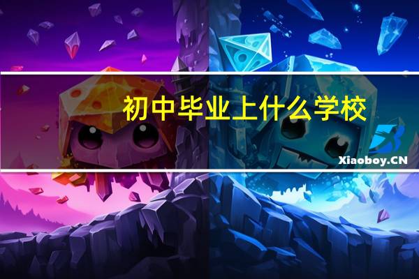 初中毕业上什么学校