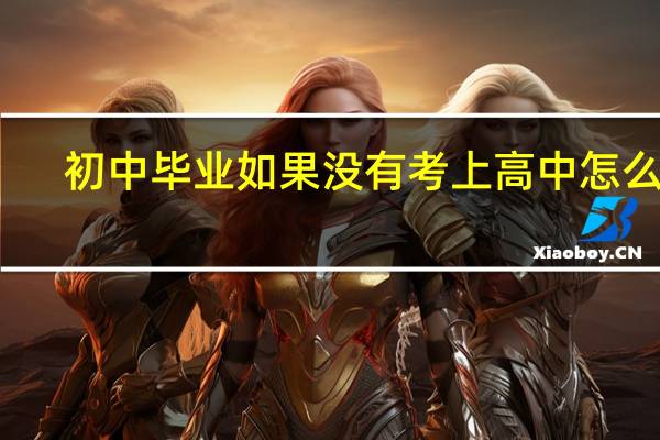 初中毕业如果没有考上高中怎么办