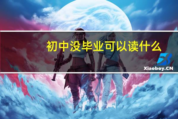 初中没毕业可以读什么