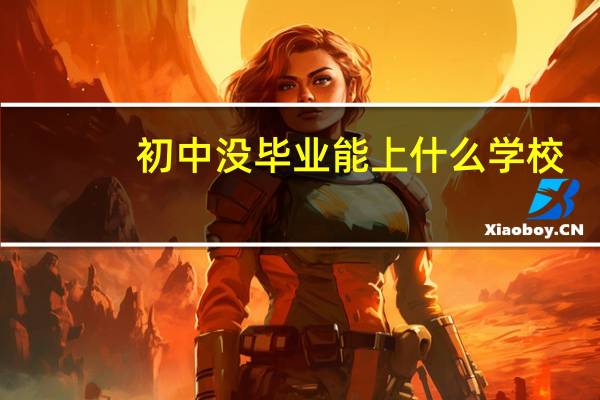 初中没毕业能上什么学校