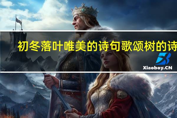 初冬落叶唯美的诗句歌颂树的诗词
