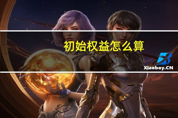 初始权益怎么算