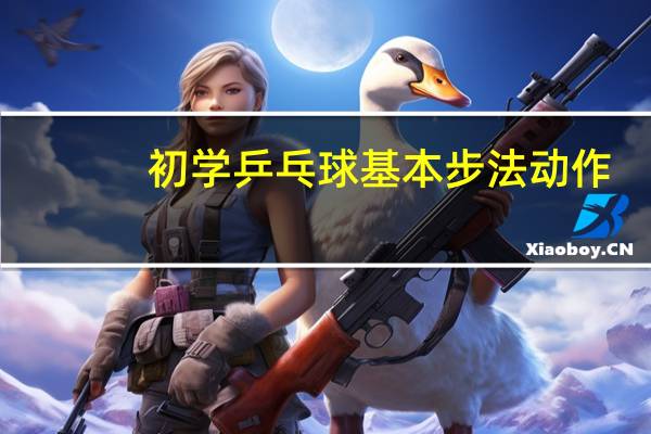 初学乒乓球基本步法动作
