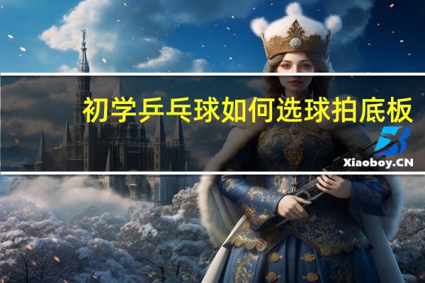 初学乒乓球如何选球拍底板