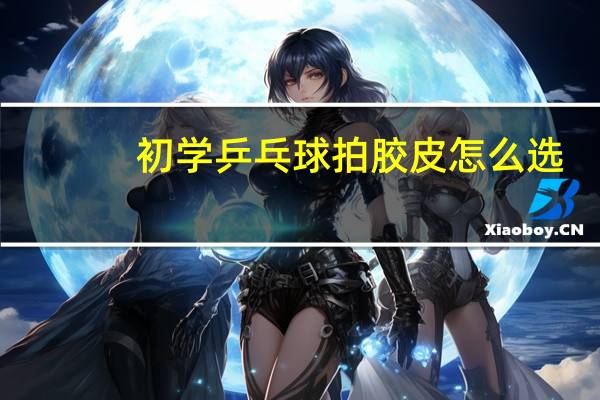 初学乒乓球拍胶皮怎么选