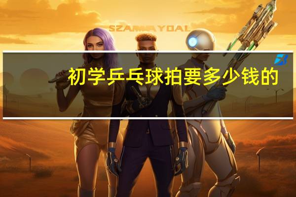 初学乒乓球拍要多少钱的
