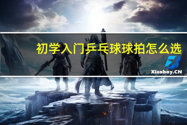 初学入门乒乓球球拍怎么选