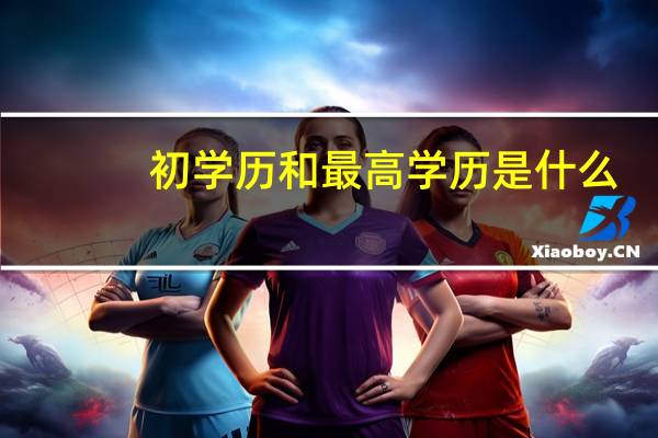初学历和最高学历是什么