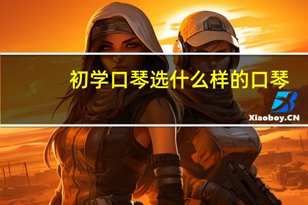 初学口琴选什么样的口琴